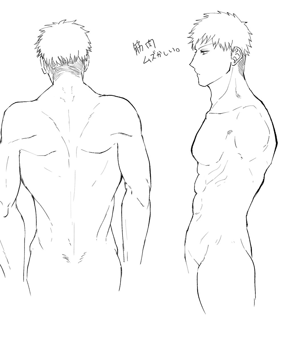 厚い身体を描けるようになりたい! 