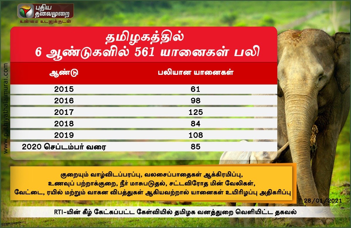 தமிழகத்தில் 6 ஆண்டுகளில் 561 யானைகள் உயிரிழப்பு!

#ElephantsDeath | #TamilNadu | #SaveElephants | puthiyathalaimurai.com
