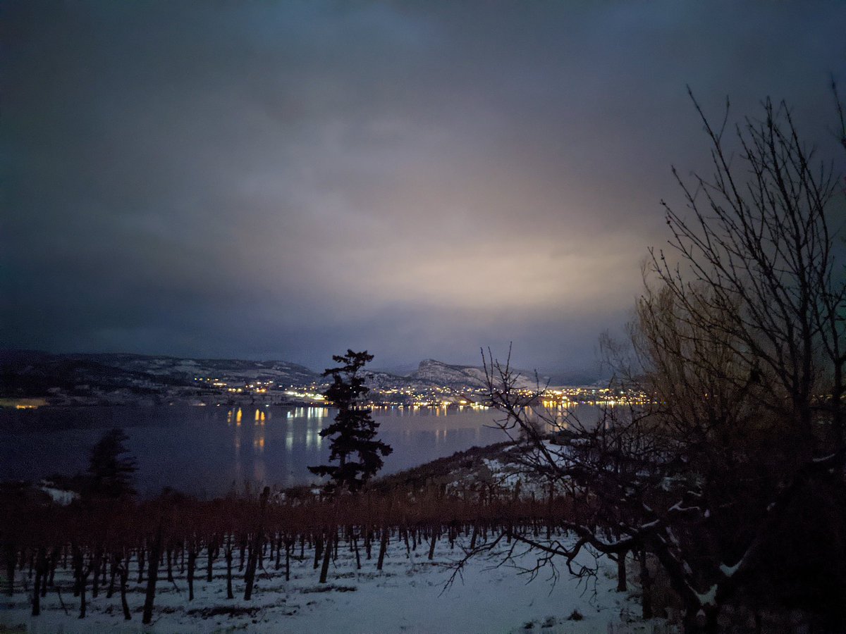 bench1775's tweet photo. Peaceful night view at our Soaring Eagle Vineyard on the #NaramataBench.
#wintervineyard #bcwine #Okanaganwineries https://t.co/DrE52pLGUQ