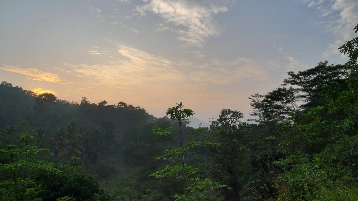 kpgtharaka's tweet photo. #MorningView.

Welcome to the Jungle 

#FirstRays of the Light 

#Srilanka #LKA #Nature #Jungle https://t.co/5fTZsaj5Mp