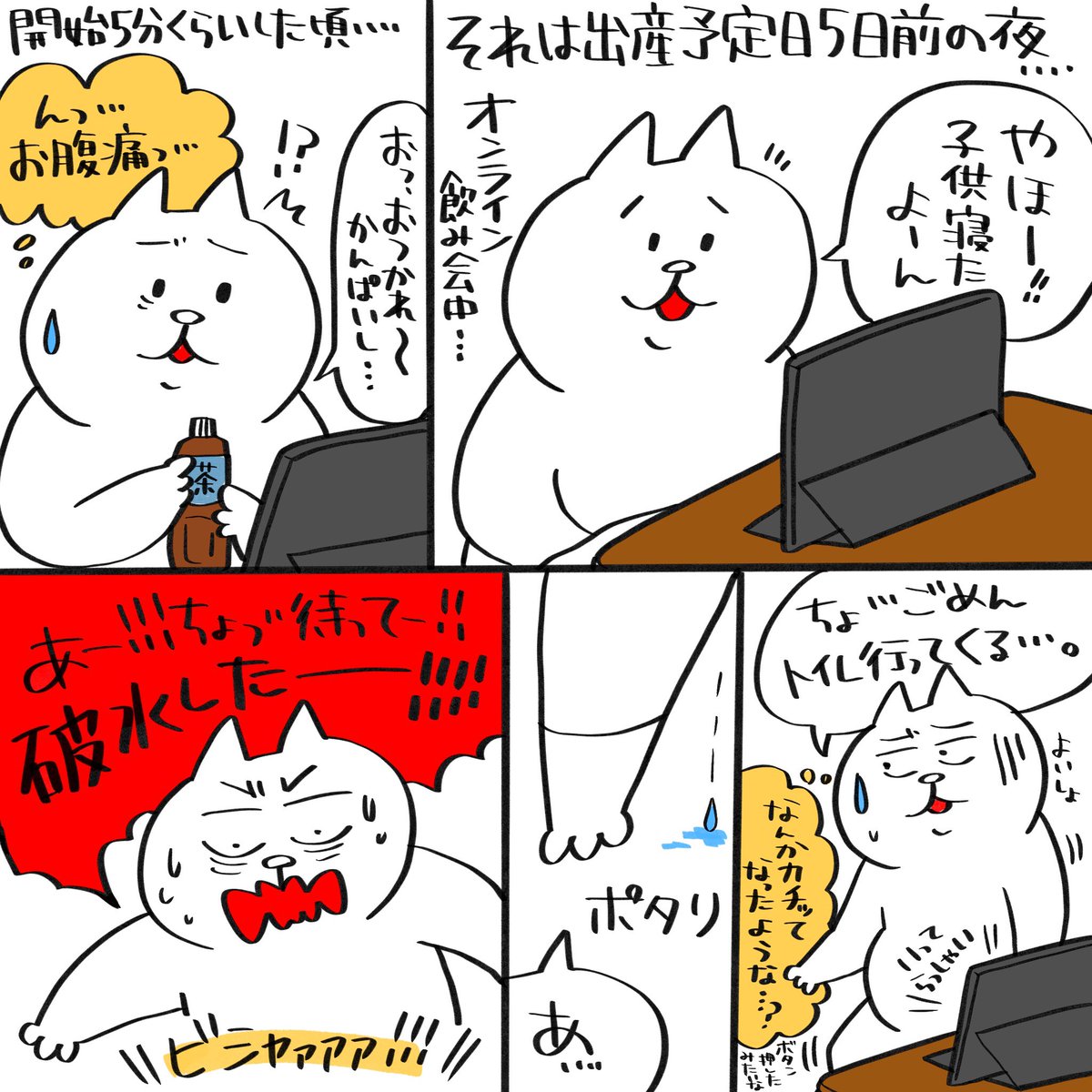 出産体験記①〜破水からの救急車搬送〜
改めまして無事出産しました!体調もだいぶ落ち着いてきたので出産体験記いくつかに分けて描いていくのでしばしお付き合いくださいませ☆
#出産体験記 #帝王切開 #緊急帝王切開 