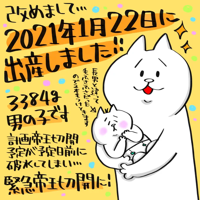 出産体験記①〜破水からの救急車搬送〜改めまして無事出産しました!体調もだいぶ落ち着いてきたので出産体験記いくつかに分けて描いていくのでしばしお付き合いくださいませ☆#出産体験記 #帝王切開 #緊急帝王切開 