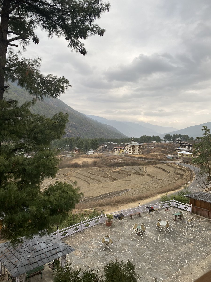 thesonampodo's tweet photo. #quarantinefiles #beautifulparo #beautifulbhutan #beautifuldogs #thankfulandblessed 🙏 https://t.co/S51NbUn9R0