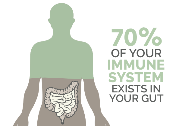 18/: The immune system works well unless it is overstrained. As most of the immune system is located in the intestine, gut  #microbiota plays a vital role in the immune system’s functionality.