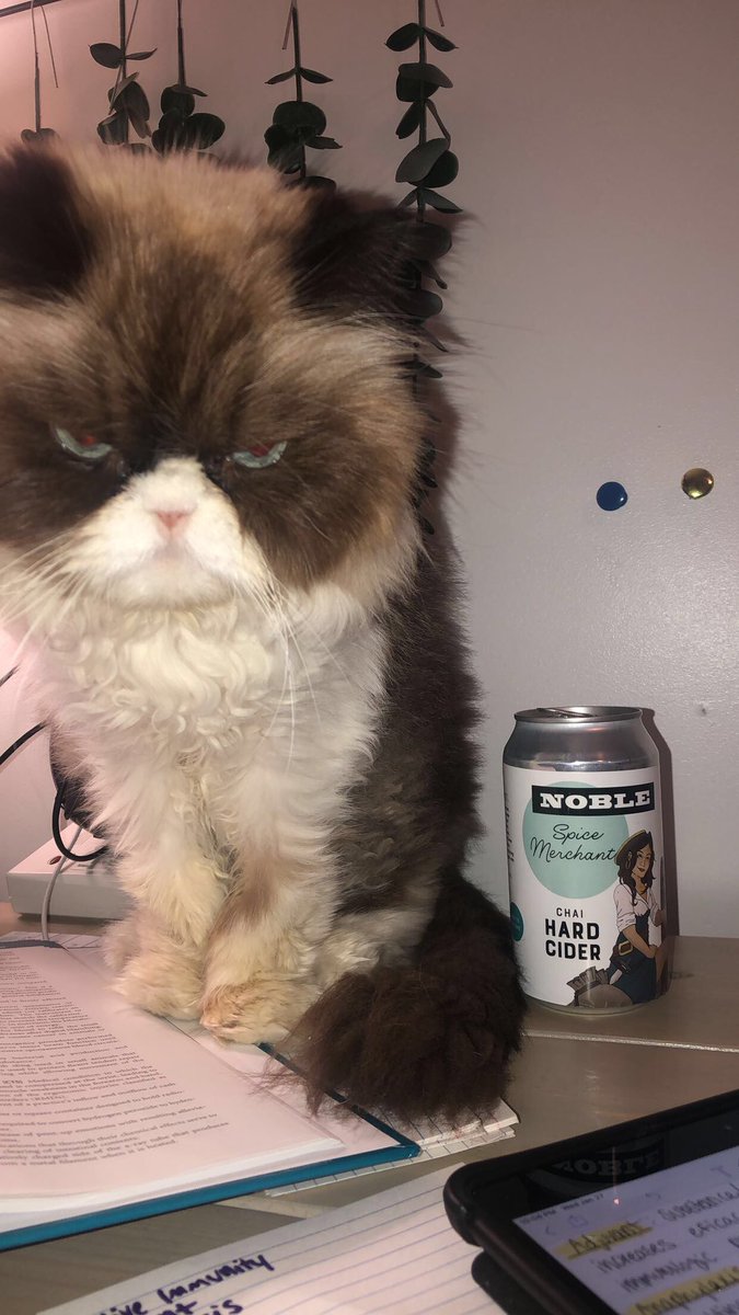 the best study buddies <a href="/NobleCider/">Noble Cider</a>