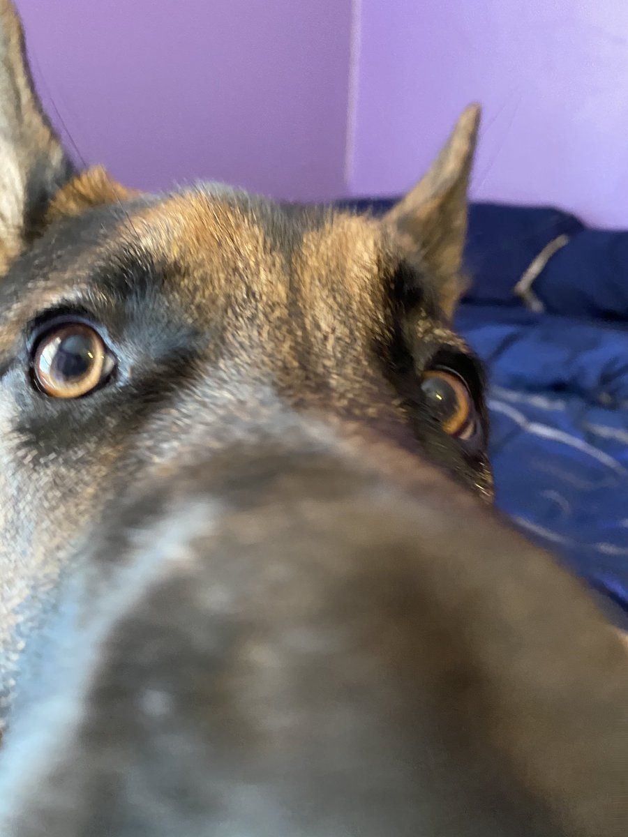 DECEMBER 20201-3. concerned buzz4. sleepy buzz