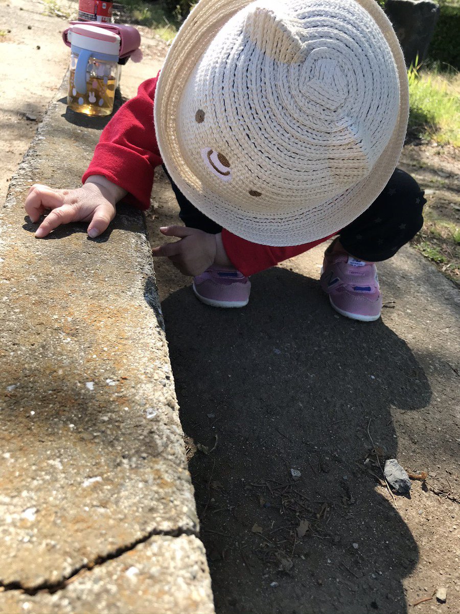 0807laaav's tweet photo. おちびお誕生日おめでとう🥰
最近ままとかばぁばとかよく話すようになったね〜
大きくなるのほんとにはやいなぁ
みんなにたくさん可愛がってもらえて
あいも嬉しい
これからもままと一緒に成長していこうね https://t.co/ka3FH8JLHD