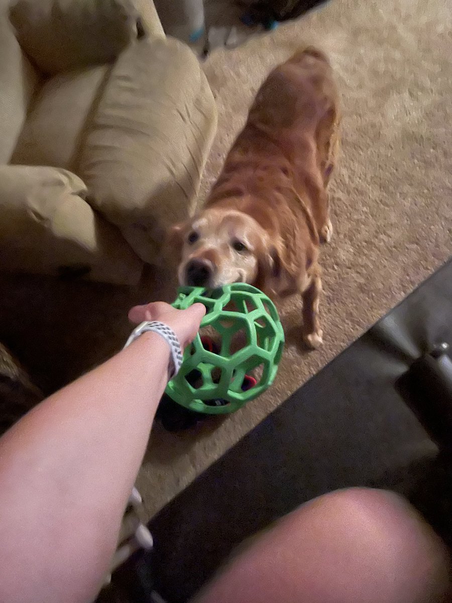 TourdeShadow's tweet image. Sorry. Mommy hasn’t posted much lately. 2021 has had a rough start for me. While I’ve had many good days, the rough days are getting harder. I still have enjoyed my daily neighborhood walk when I’m well enough. Here’s so photo drops...