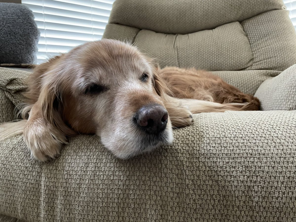 TourdeShadow's tweet image. Sorry. Mommy hasn’t posted much lately. 2021 has had a rough start for me. While I’ve had many good days, the rough days are getting harder. I still have enjoyed my daily neighborhood walk when I’m well enough. Here’s so photo drops...