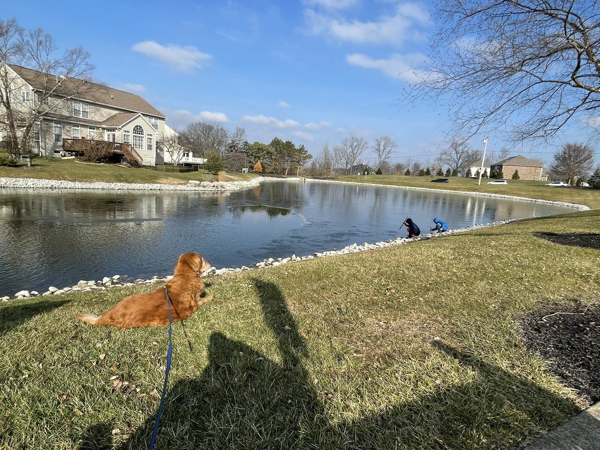 TourdeShadow's tweet image. Sorry. Mommy hasn’t posted much lately. 2021 has had a rough start for me. While I’ve had many good days, the rough days are getting harder. I still have enjoyed my daily neighborhood walk when I’m well enough. Here’s so photo drops...