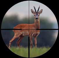 Et les restrictions s’appliquent aussi aux accessoires : par exemple, pas le droit de monter sur son arme une optique électronique comme une lunette thermique de sniper (ou de fonctionnaire de la chasse genevois...)Photo de gauche Photo de droite 