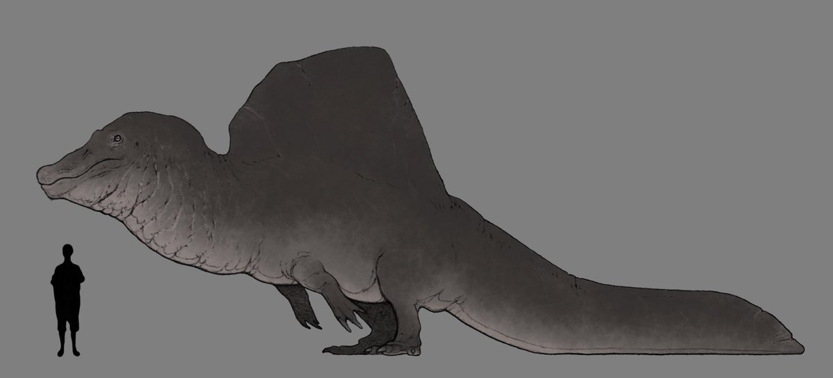 「#spinosaurus
みんな大好きスピノサウルス 」|nao70sharkのイラスト