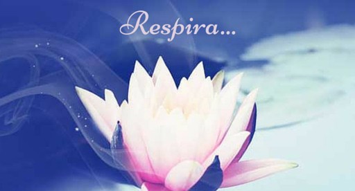 #seVuoiCapire veramente quello che succede dentro di te, fermati e siediti un attimo, chiudi gli occhi e respira!