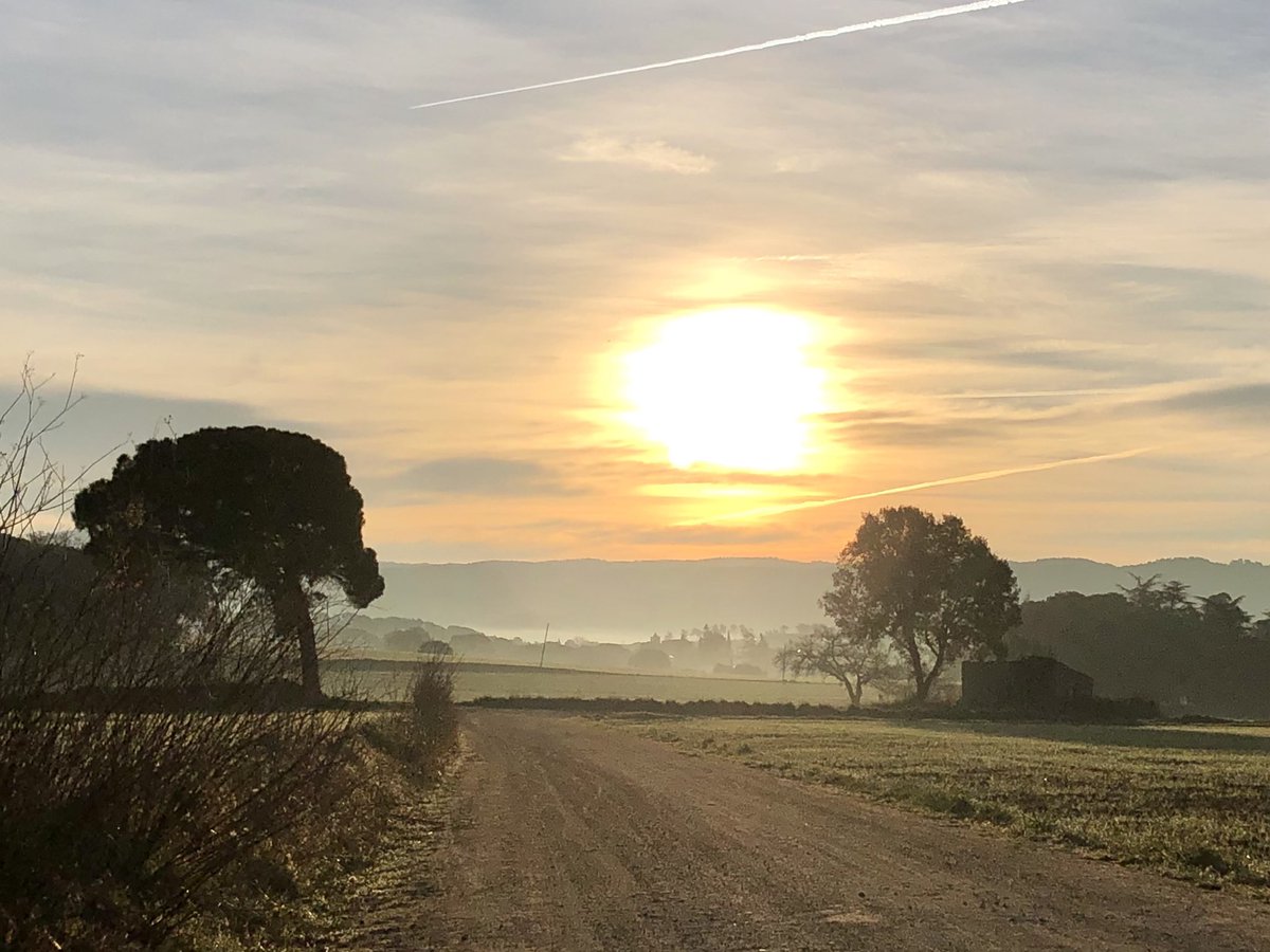 minimalmindz tweet media