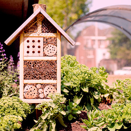 Pink Lady® tweet media