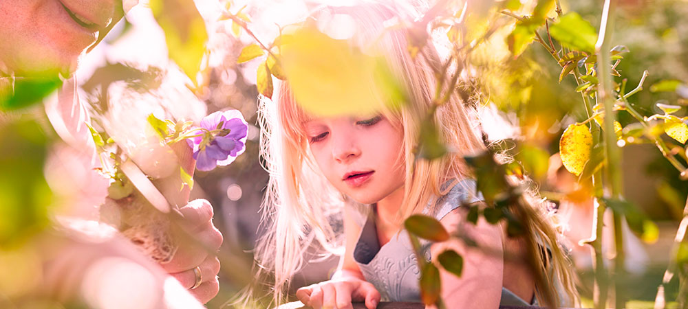 Pink Lady® tweet media