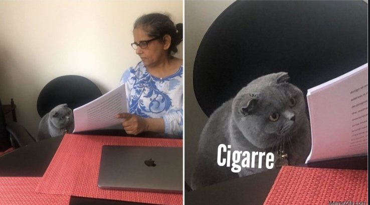 giulyo_walter's tweet image. Professor: Quem foi o primeiro caso confirmado de COVID-19 em Moçambique?

Cigarre: Eneas Comiche. 

Professor: Então porque escreveste Ell Puto no teste?