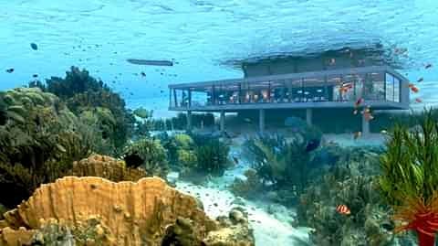 The Manta resort , Pemba island Tanzania 🇹🇿 

Underwater Hotel room on the coastal  lines of East Africa on Indian ocean
You  enjoy the view of fish other occen creatures just at the comfort of your bed ..

#beautifuldestinations
#beautifulplacestovisit
#africanfullfacts