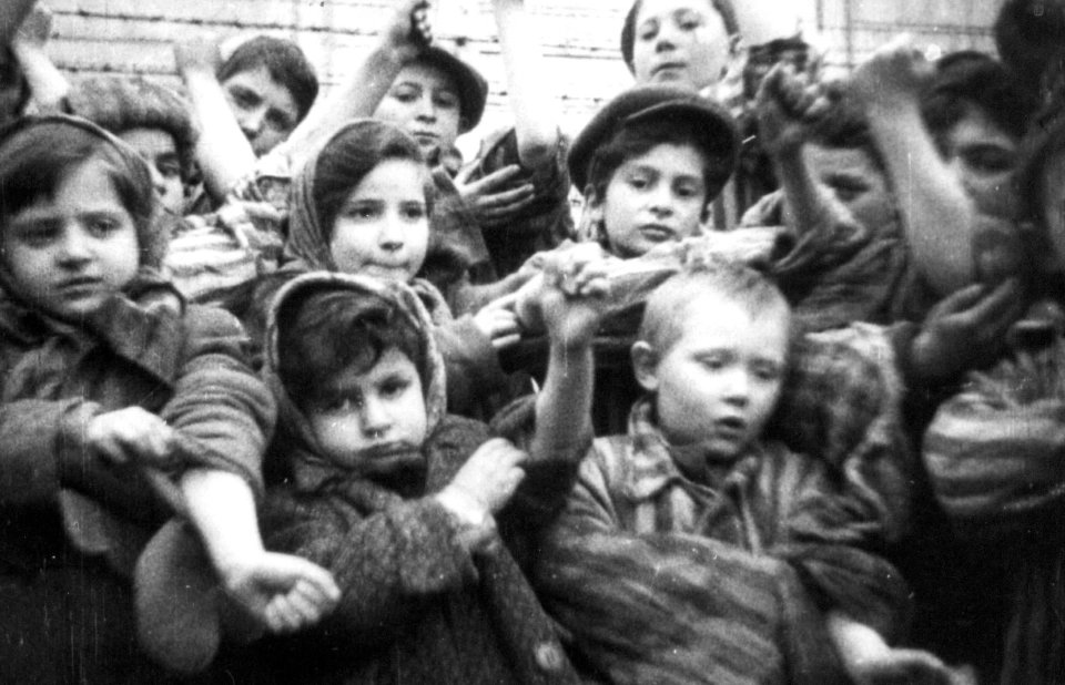 usapronova's tweet photo. Алеша Лебедев 12 лет возвращенный из немецкого лагеря1946 
В лагере он жил под номером 158671. У него немецкие фашисты взяли свыше 4-х литров крови
Его письмо в Нюрнберг:
«Тов. Судьи Присудите немцам наказание за моих сестер маму отца и за товарищей детского дома»
Он умер в 38лет https://t.co/3P7oQ9uo6q