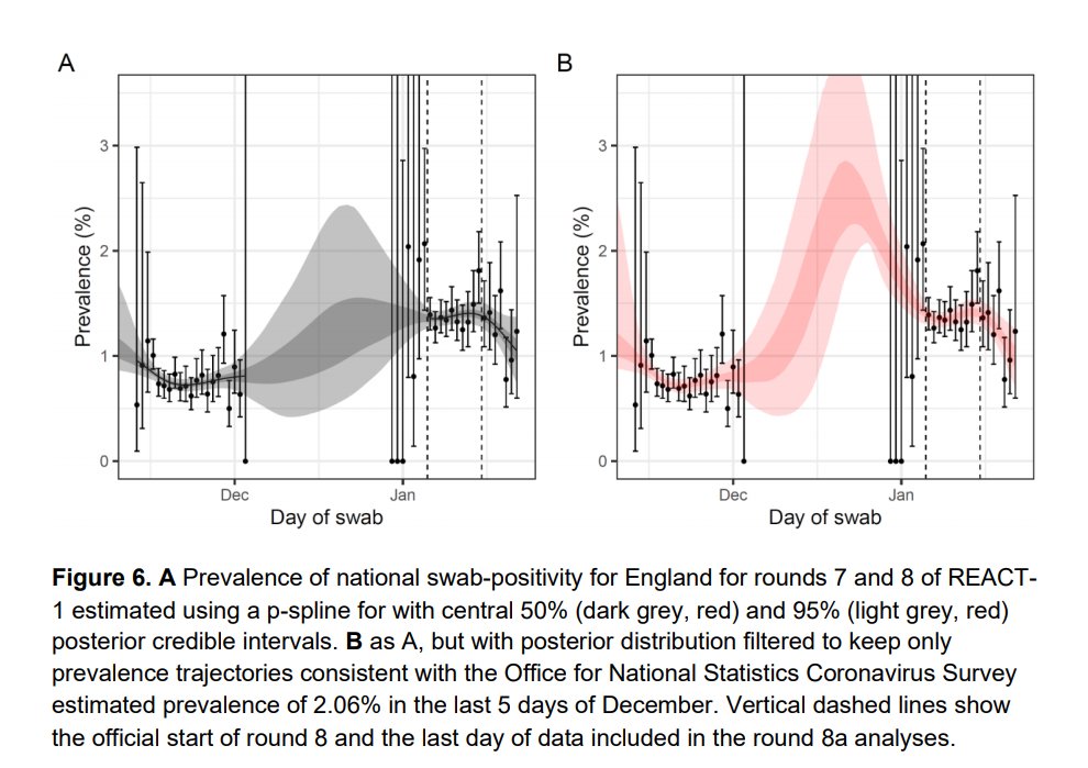 The modelling suggests a slight increase in the first period, with a more rapid fall in the last few days. To counter the omission of data in late Dec, it's refined the model by using the ONS survey shape over that period, but it doesn't change the shape much after Jan 6. 3/11