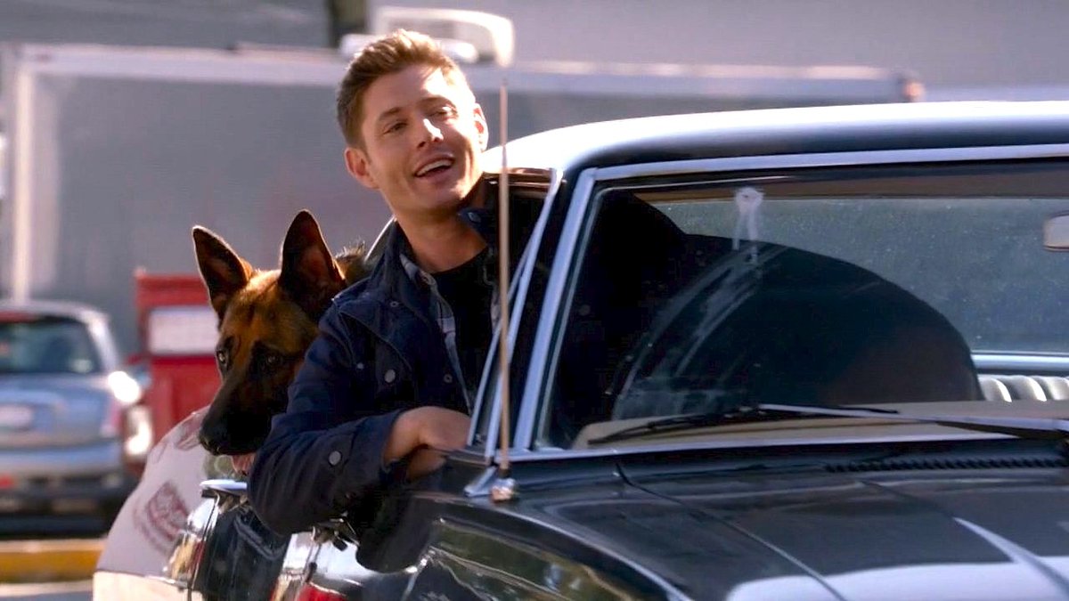 di_winston's tweet image. Haven't watched Supernatural for a while starting at the beginning..pretty entertaining series. One of my fav episodes is Dog Dean Afternoon,him acting like a dog,lol 😜🤪😆😆#supernatural #deanasadog #subtlehumor