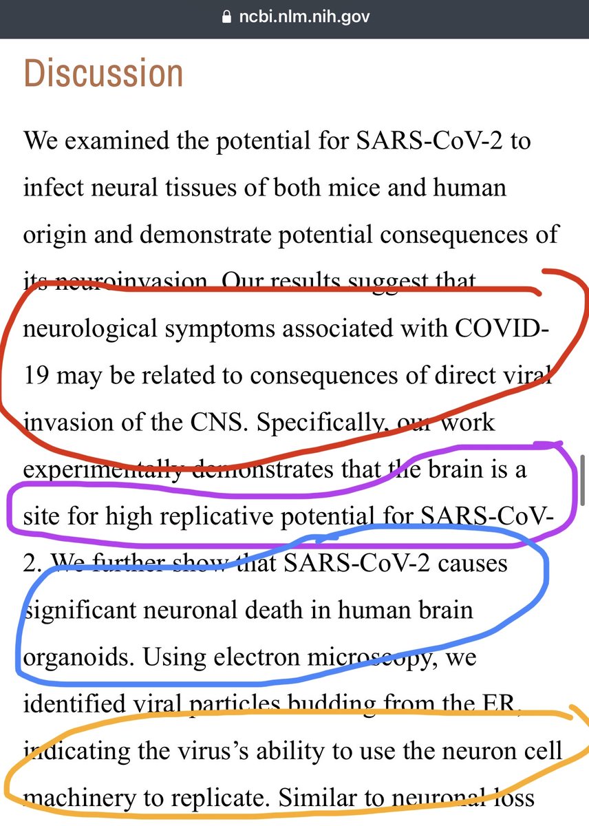 3) Conclusions from main discussion summary: ”results suggest that neurological symptoms associated with COVID-19 may be related to consequences of direct viral invasion of the central nervous system””brain is a site for high replicative potential for SARS-CoV-2.”