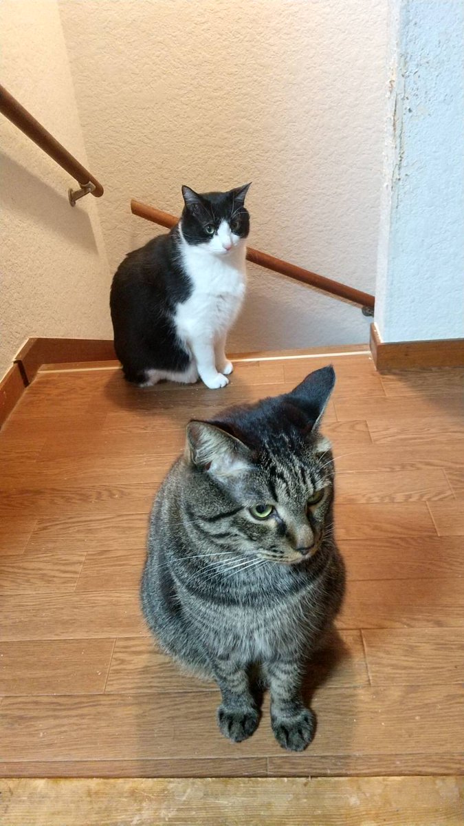 寒くて動きたくない