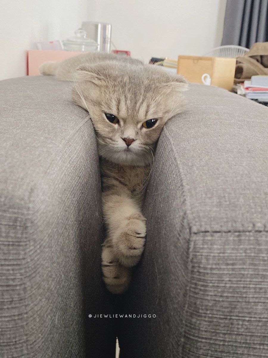 ชอบนอนตรงนี้มาก มันสบายยังไงหรออยากรู้วบ์