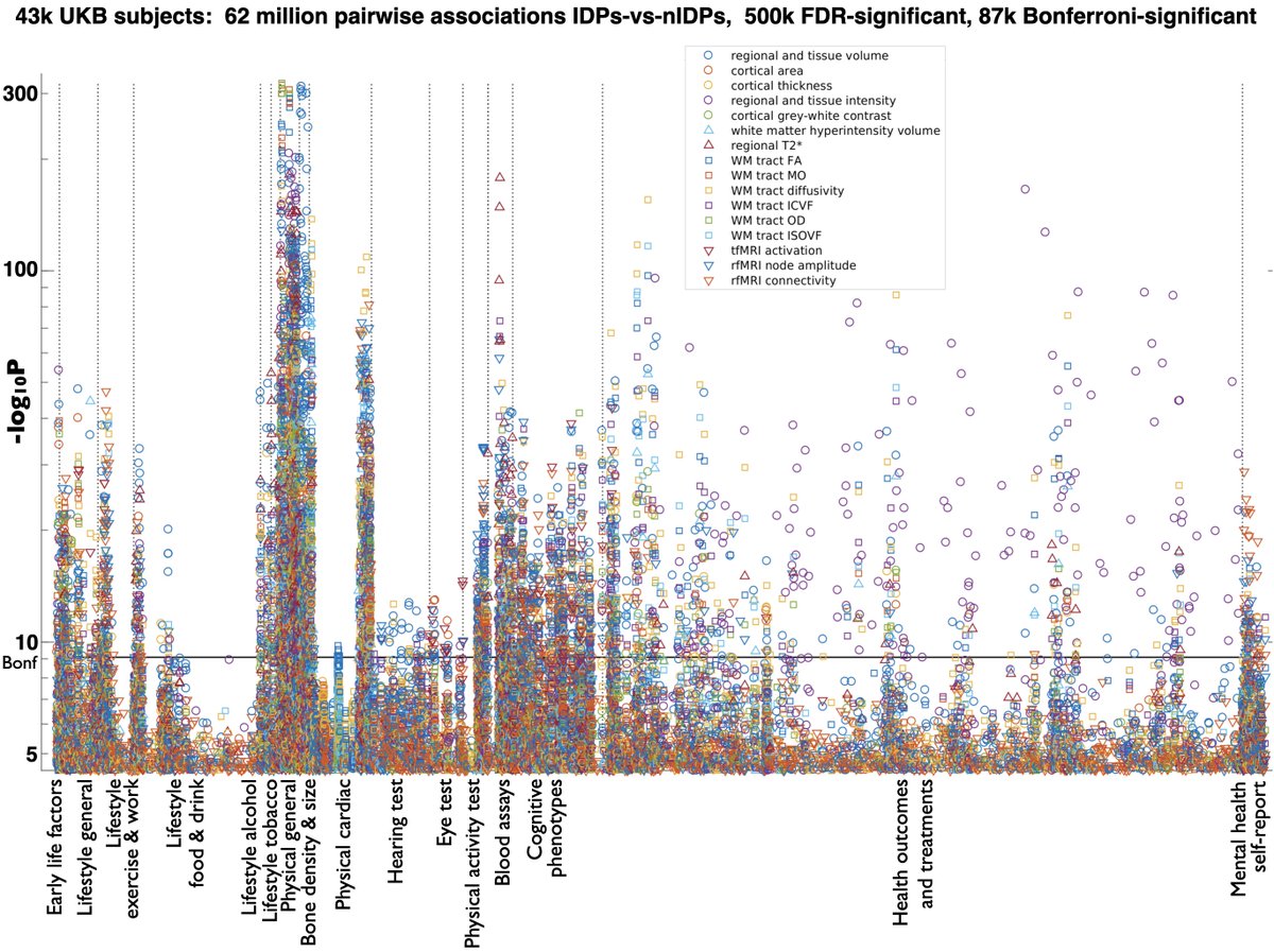 fmrib_steve's tweet photo. New @uk_biobank update: brain imaging data and imaging-derived phenotypes (IDPs) now cover all data scanned so far: 43,000 first-timepoint scans plus 3,000 second-timepoint (doubling the amount of two-scan datasets available). Great!  Thanks @NeuroFidelity et al. https://t.co/VybG9mkbRm