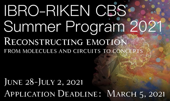 IBRO - International Brain Research Organization (@ibroSecretariat) on Twitter photo 2021-01-28 07:30:03 IBRO-RIKEN CBS Summer Program applications
open📢📢
The lecture format is subject to change due to travel regulations related to Covid-19. The website will be updated with any changes. We'll keep you posted!
Application deadline: 5 March
@RIKEN_CBS
cbs.riken.jp/en/summer/ IBRO-RIKEN CBS Summer Program applications
open📢📢
The lecture format is subject to change due to travel regulations related to Covid-19. The website will be updated with any changes. We'll keep you posted!
Application deadline: 5 March
@RIKEN_CBS
cbs.riken.jp/en/summer/