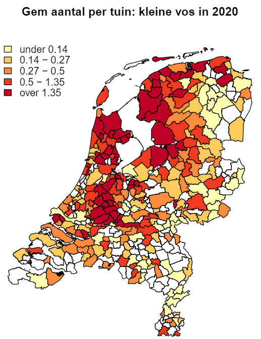chrisvanswaay's tweet photo. Mean number of Small Tortoiseshells (A urticae) per garden in July 2020. Reasonable numbers only in N and W-NL. An effect of climate change?

Gem aantal kleine vossen per tuin in juli 2020. Alleen in het N en W-NL nog redelijke aantallen. Klimaatverandering?
#januarivlindermaand https://t.co/IHL5VFIcFO