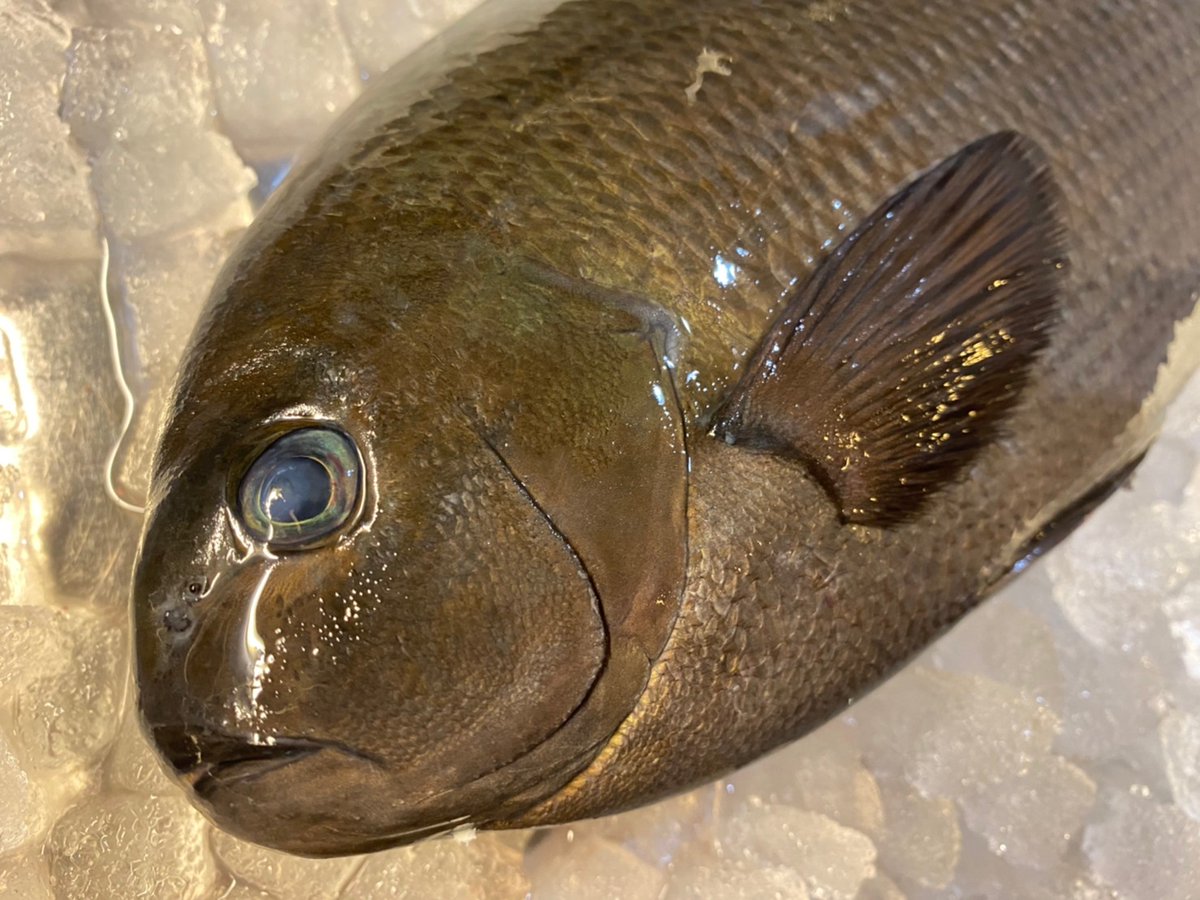 みんなの ひなた 和食 おいしい 口コミ 評判 食べたいランチ 夜ごはんがきっと見つかる ナウティスイーツ