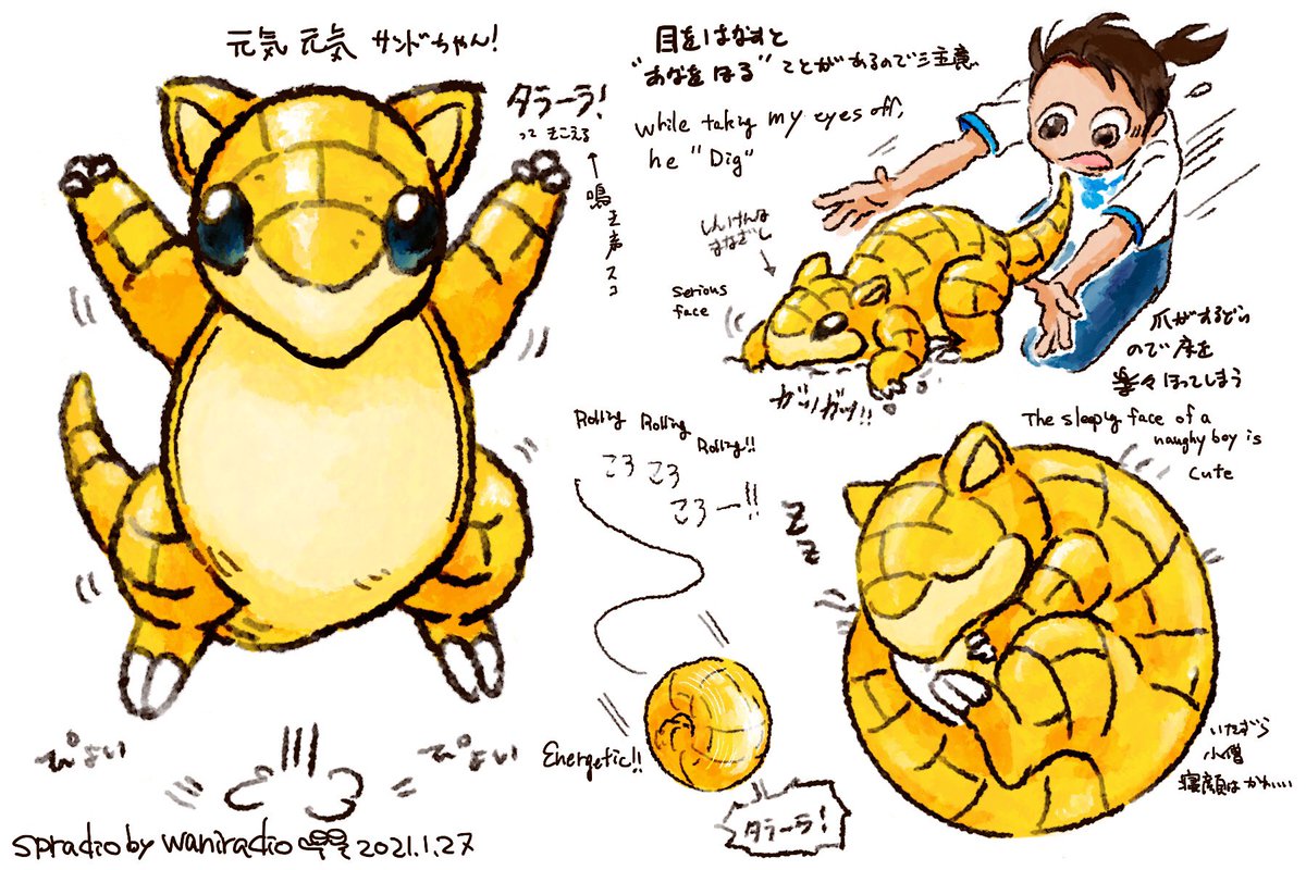 Spradio Commission Open ポケモンと生活 Pokemongo サンド Pokemon Sandshrew 1日に1匹のポケモンを描くチャレンジ 27日目はコロコロコロ転がる サンドちゃん