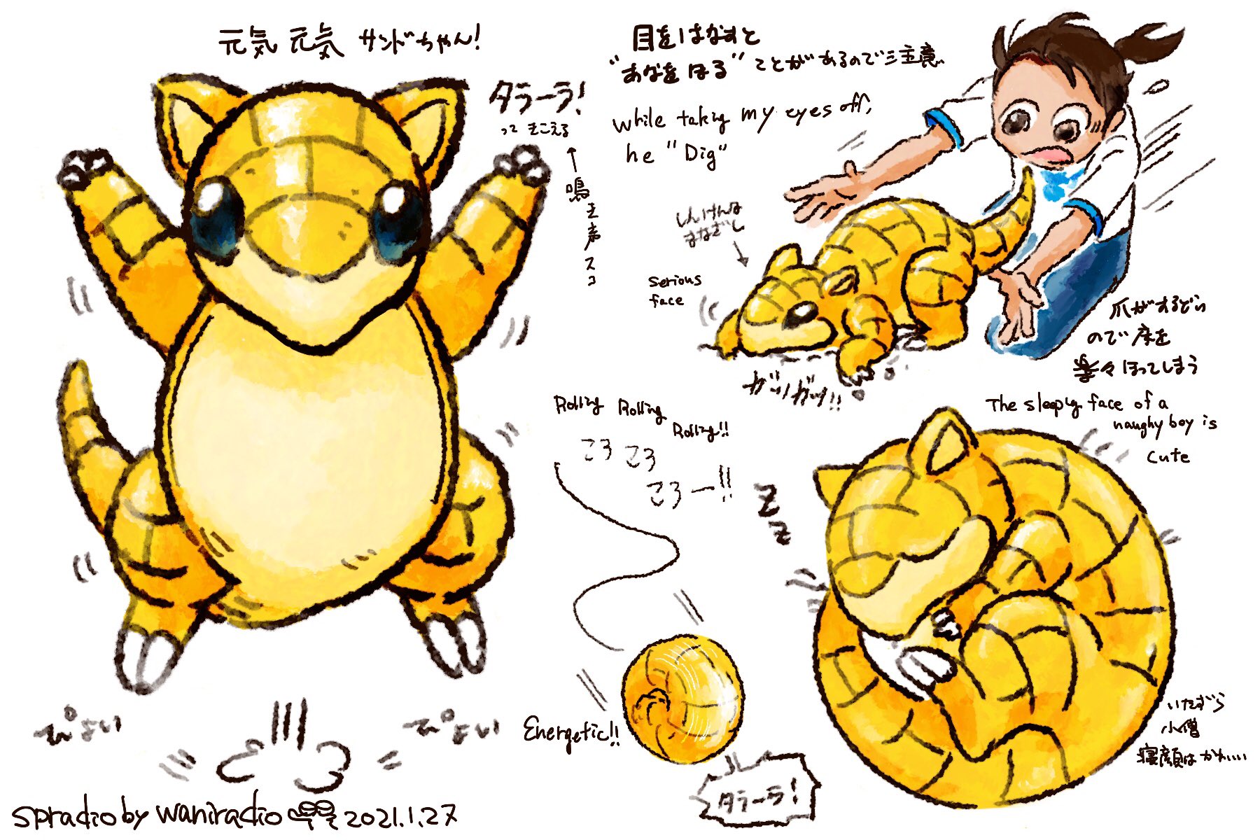 Spradio Commission Open ポケモンと生活 Pokemongo サンド Pokemon Sandshrew 1日に1匹のポケモンを描くチャレンジ 27日目はコロコロコロ転がる サンドちゃん T Co 3epftadlxu Twitter