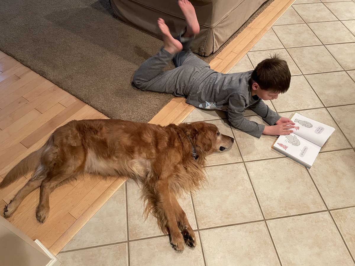 TourdeShadow's tweet image. Number four yesterday. This time my other brother read to me while I was in my episode. It took me a#over four hours to start to recover from this one. And earned me a trip to the vet...