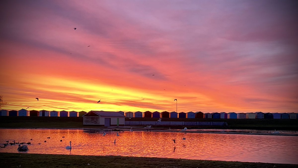 rascalmaster's tweet image. The daily commute!