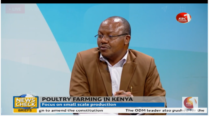 HeiferKenya's tweet photo. The goal of #HatchingHopeKenya is to improve the nutrition and economic livelihoods of 10 million people, in its first phase (2019-2022) through the production, promotion, and consumption of poultry in 7 counties in Kenya~ Chris Webo Watch here https://t.co/oaKFoALRO6 https://t.co/Zc1DAts2Io