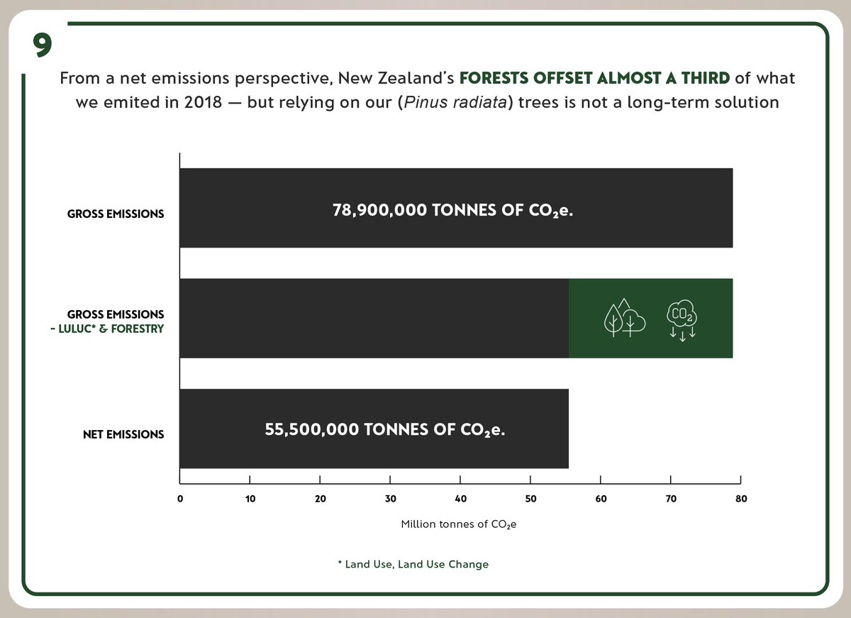 From a net emissions perspective, New Zealand’s forests offset almost a third of what we emited in 2018 — but relying on our (Pinus radiata) trees is not a long-term solution