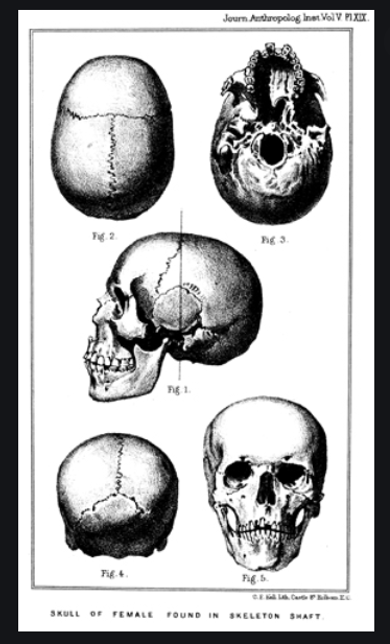 3) The early archaeologists did not have photography available & many (Like Colt Hoare with 'Ancient Wiltshire') were mainly interested in the finds from monuments alone – thus we rely on their descriptions instead. Pitt-Rivers began to change this – here at Cissbury  #digideath