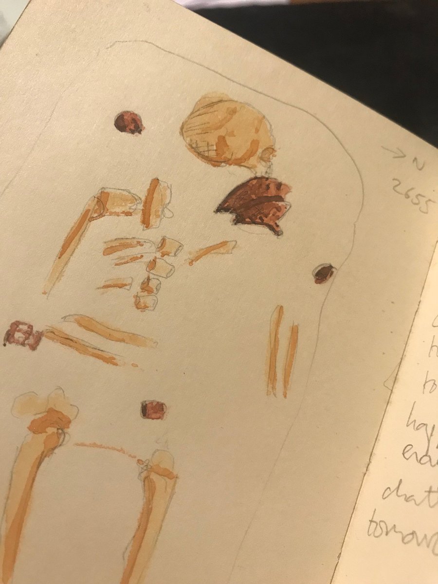 6) Ramsauer stayed with me. When I Co-directed the  #opnightingale work at Barrow Clump, I knew the 1:10 drawings would be archived and thus wanted my own easy record of finds, locations and notes. Hence the affectation of my site book with drawings of the 6th C dead.  #digideath