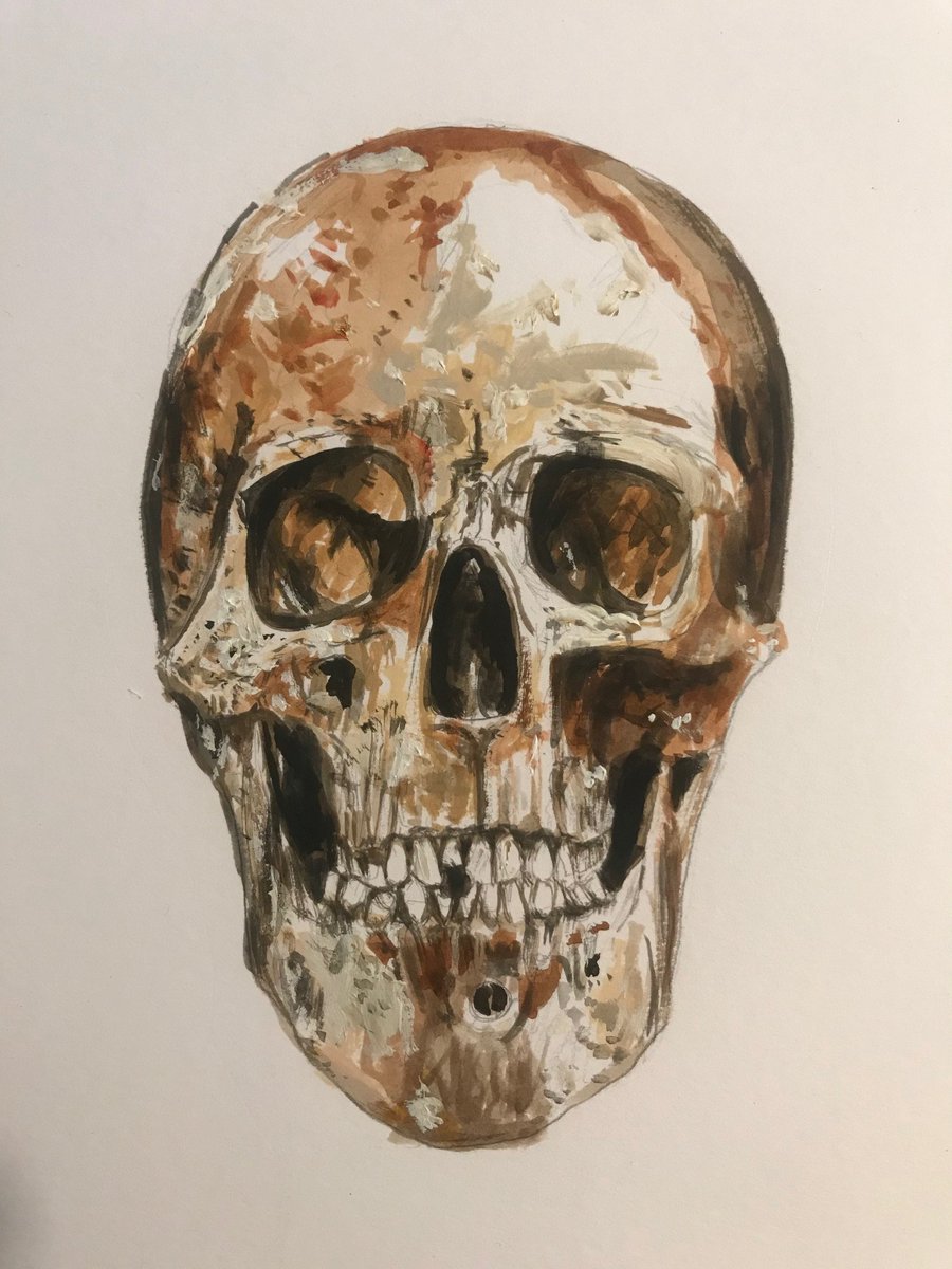 11) Excavations at Bullecourt have also yielded the remains of German soldiers - here of a man who was killed in 1917 and lay on a wire mesh frame. The skull was scanned by  @FaceLabLJMU to produce this wonderful likeness. A Prussian man. He too is reburied  #digideath