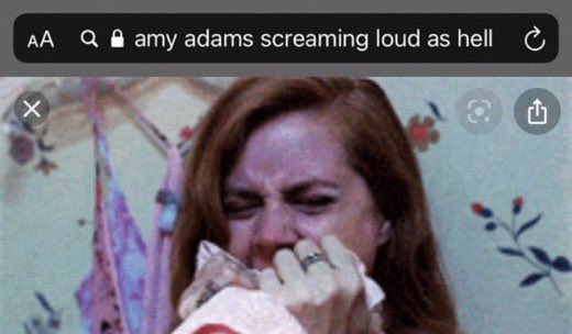 Reactions Amy Adams Screaming Loud As Hell Google Image Search Results