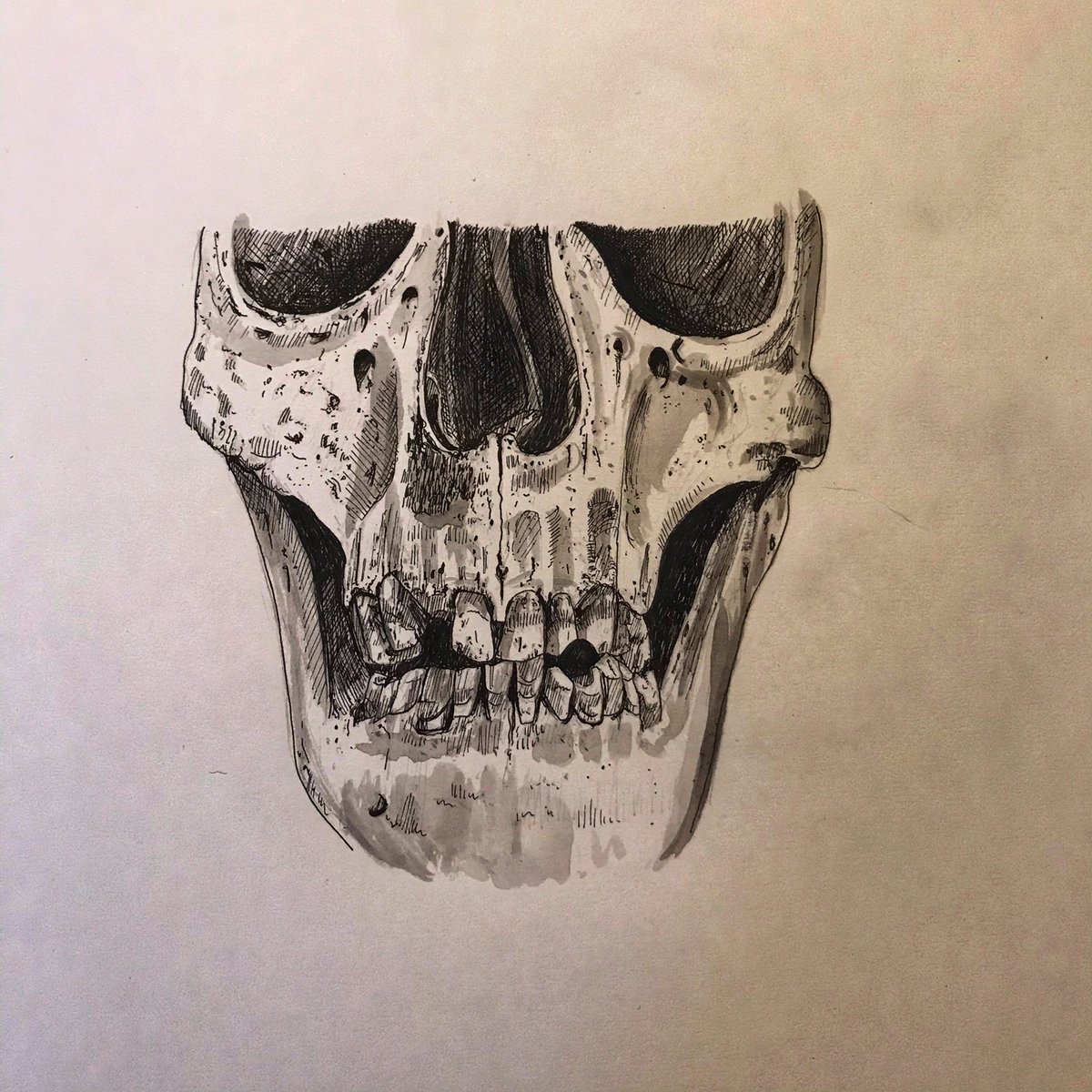 14) On our private Facebook page I have drawn pen/ink images of the 18/19thC convict burials from Rat Island to complement the archive & pick out detail like holes in teeth from pipe smoking. With some of the burials, photos are not easy as they are in the cliff face.  #digideath