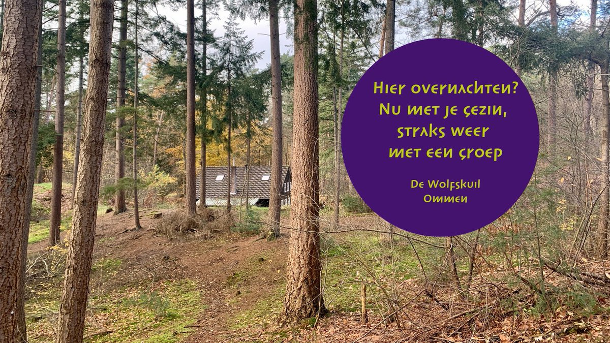 Wil je hier - midden in het bos bij Ommen - overnachten? Dat kan nu met je gezin of huishouden wolfskuil.nl/gezinsovernach… en straks weer met een groep! 
#Ommen #Vakantiehuis #Overnachteninhetbos #Vechtdal #visitoost