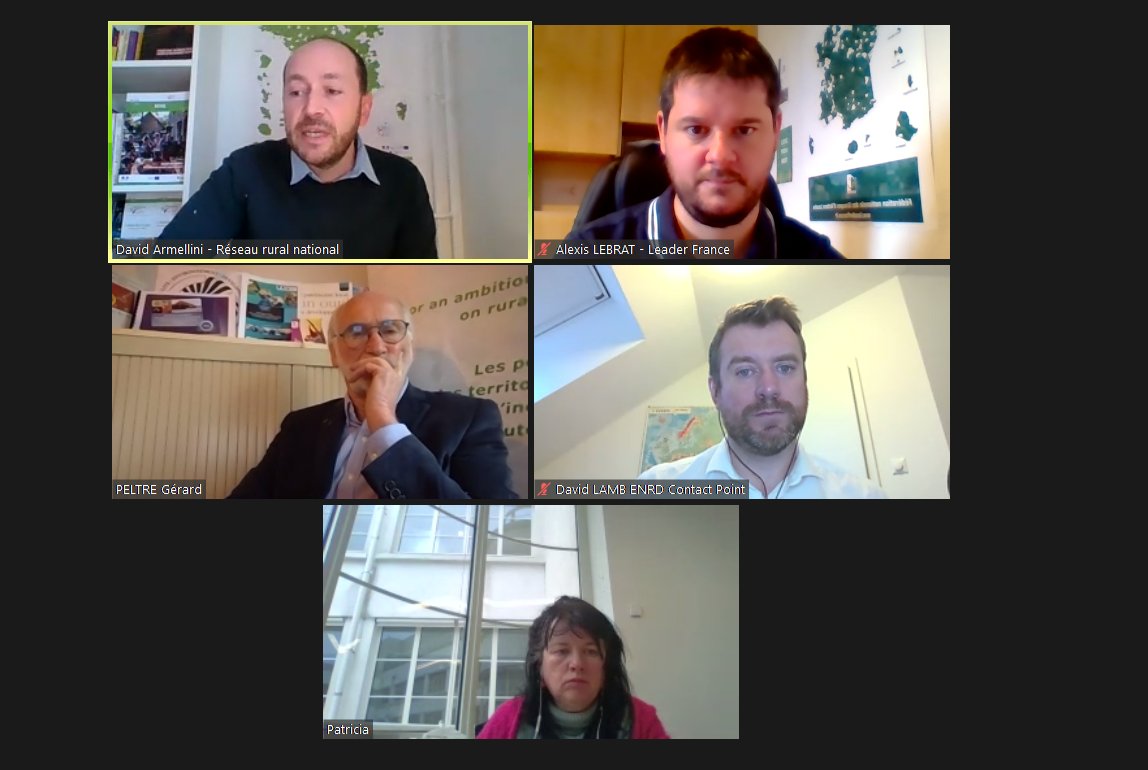 En direct du webinaire du @reseaururalfr sur "la consultation de la vision à long terme pour les territoires ruraux" pour présenter les propositions du Parlement rural français. #Parlementrural