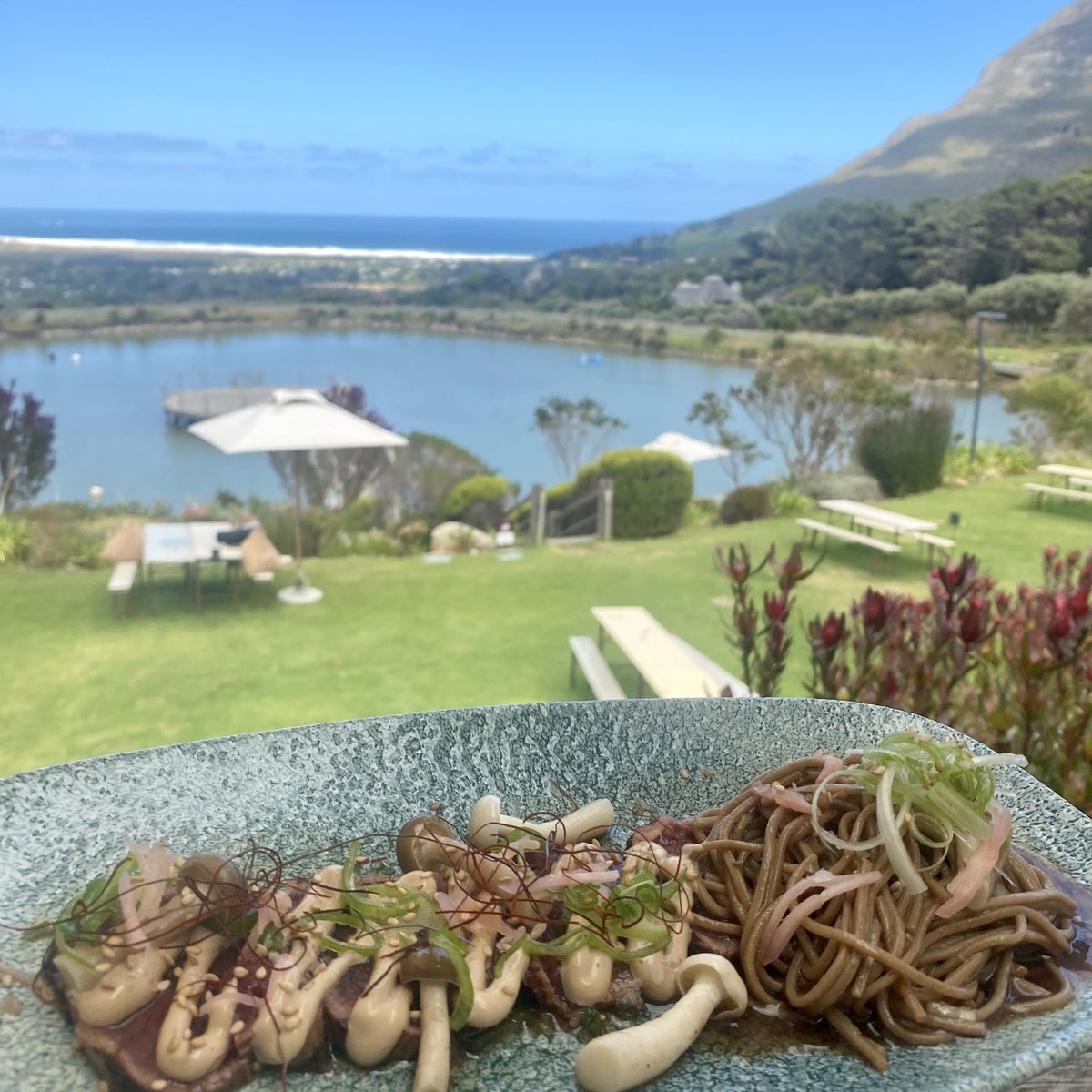 Today’s special: Ostrich Tataki with a cold soba noodle salad, black@garlic aioli, ponzu dressing amd pickled mushrooms served outside with a fresh crisp view