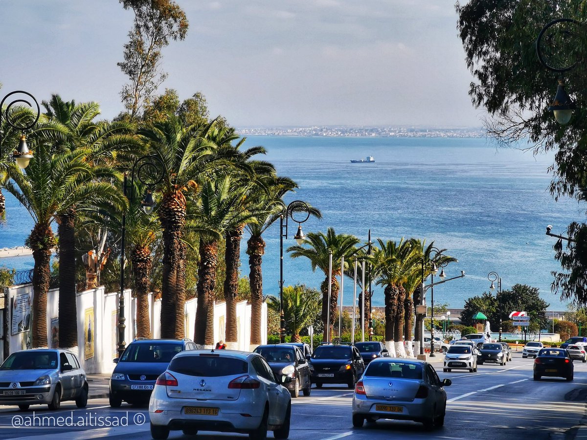 AhmedAitissad's tweet photo. "C'est moi, Alger la blanche, la bleue, la marine, l'énigmatique que vous aimez tant malgré tout" #algerievuedenbas https://t.co/ctq1NWpsV4
