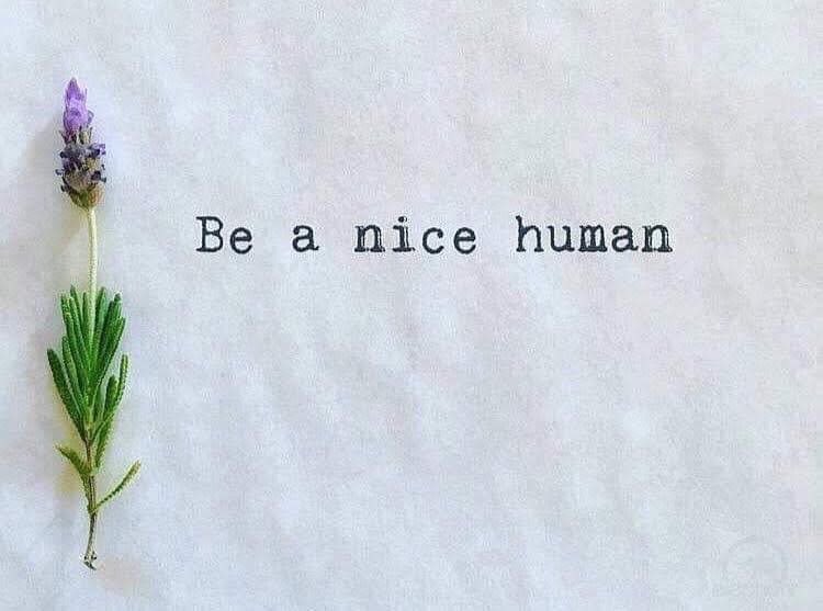 Pushy_Posh's tweet photo. I borrowed this from a lovely human who has a heart of gold 💛 Have a lovely day Xx https://t.co/gYIl7v2WtF
