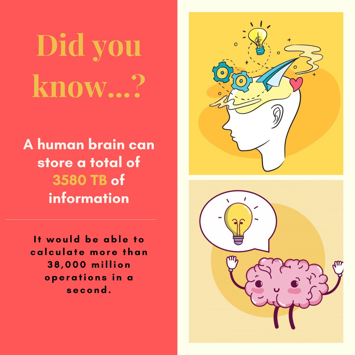 infoo_dataa's tweet image. 👀🧠