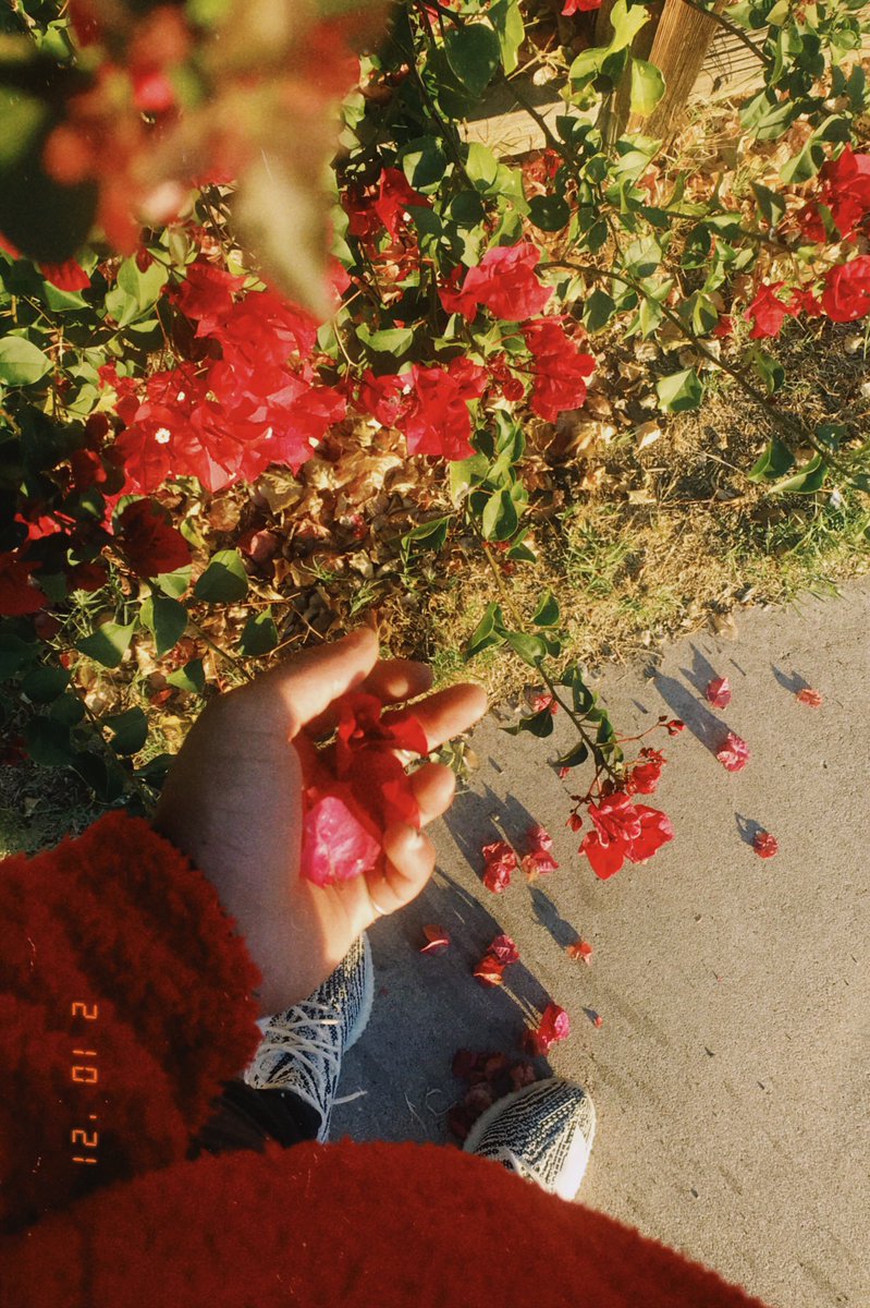 _raysmoov's tweet image. 🩸💢🎸💔🥀❌⭕️